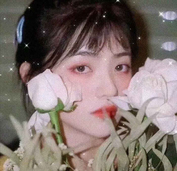 红纸鹤