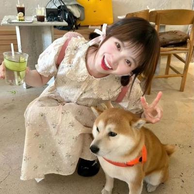 雷霆战狗